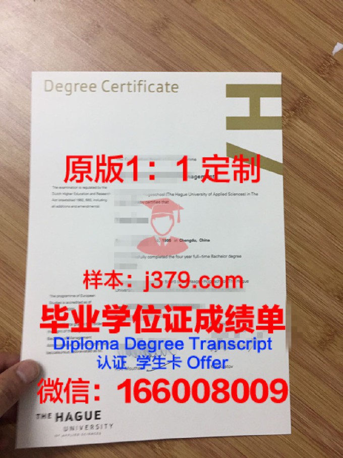 海牙应用科学大学diploma证书(海牙大学中国承认吗)