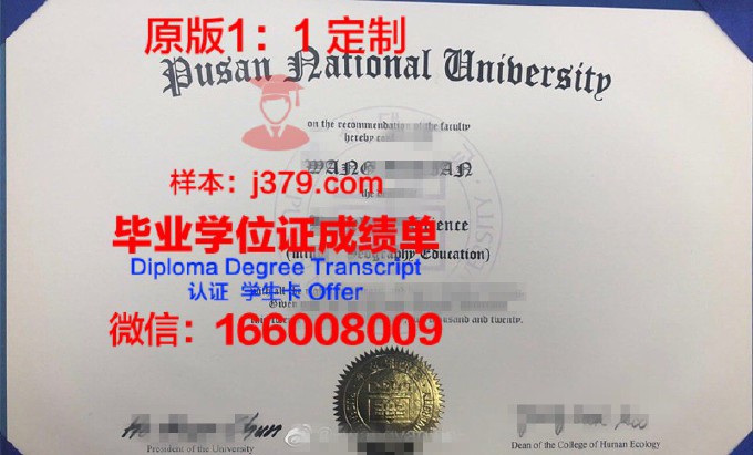 釜山外国语大学毕业证是真的吗(釜山外国语大学学费人民币)
