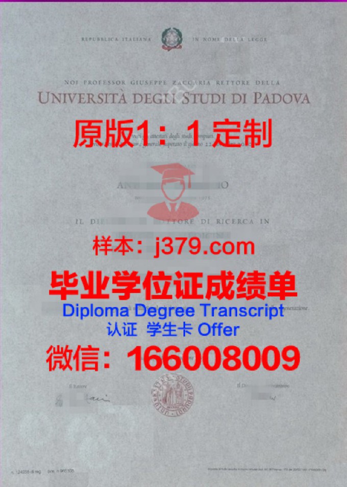 帕多瓦大学研究生毕业证书(帕多瓦大学英语授课硕士)