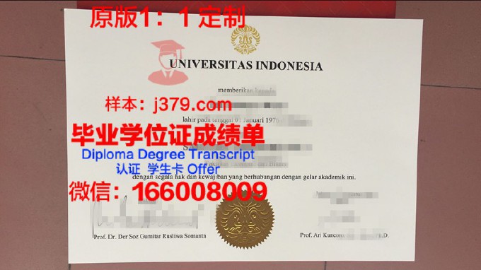 印度尼西亚大学硕士毕业证书样本(印度尼西亚大学研究生申请条件)