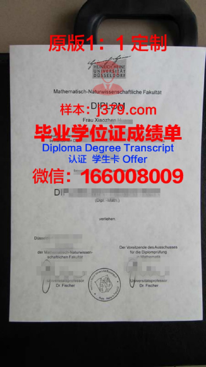杜塞尔多夫应用技术大学diploma证书(杜塞尔多夫艺术学院申请条件)
